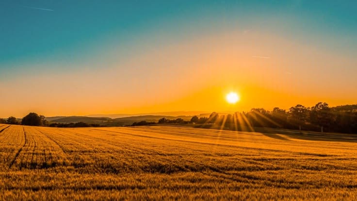 African agricultural landscape at sunset